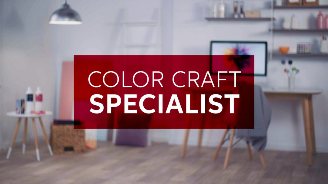 Color Craft Specialist online